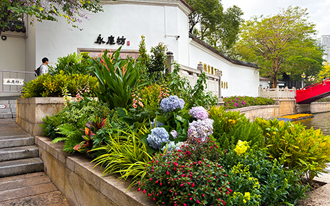 IM������(�й���)�ٷ���վ -APP����